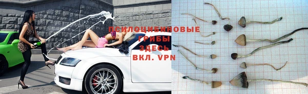 сатива Алексин