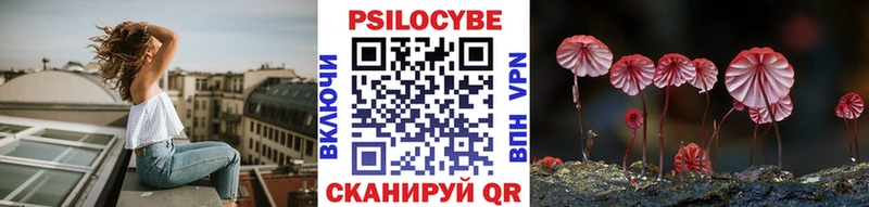 Галлюциногенные грибы Cubensis как найти Буй